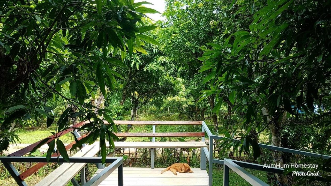 Aum Hum Homestay Fang Εξωτερικό φωτογραφία