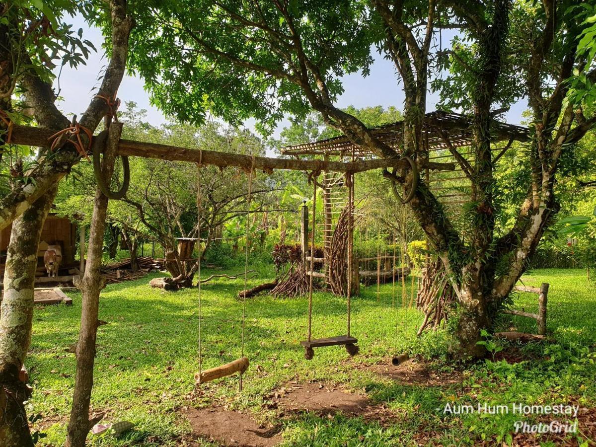 Aum Hum Homestay Fang Εξωτερικό φωτογραφία